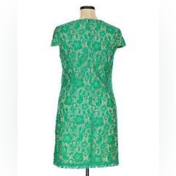 Ivy & Blu Nordstrom Emerald Green Lace Shift Dress Cap Sleeves Size 10 Feminine - Picture 2 of 8